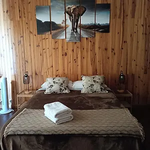 Tenerife Dreams Coffee&bed España
